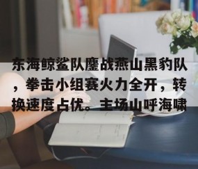 AYX-关于东海鲸鲨队鏖战燕山黑豹队，拳击小组赛火力全开，转换速度占优。主场山呼海啸的信息